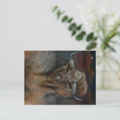 ザテキサス州・ロングウブル ポストカード (スタンド正面)