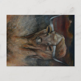 ザテキサス州・ロングウブル ポストカード