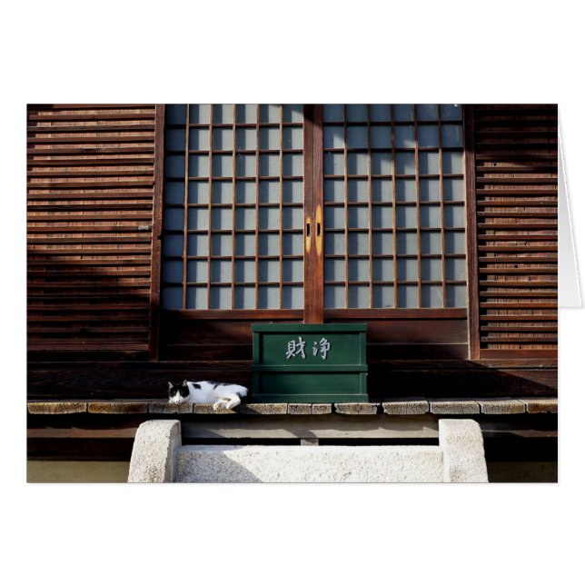 ザテンプルキャット (正面横)