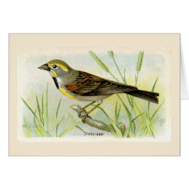 ザディッキバードサンキューカード