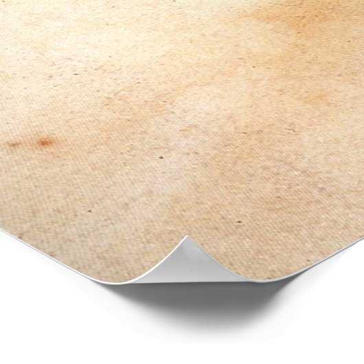 ザデイジー妖精 – ポスター (角)