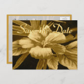 ザデイトゴールデンハワイアンプリント 案内ポストカード (正面/裏面)