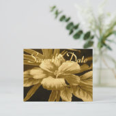 ザデイトゴールデンハワイアンプリント 案内ポストカード (スタンド正面)