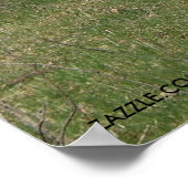 ザデイリーラマ ポスター (角)