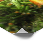 ザトアドスツールフェアリーポスタープリント ポスター (角)