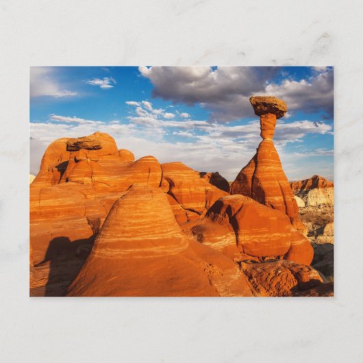 ザトアドストゥールズ ポストカード (正面)