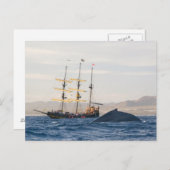 ザトウクジラと船 ポストカード (正面/裏面)