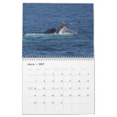 ザトウクジラのカレンダー カレンダー (3月 2027)