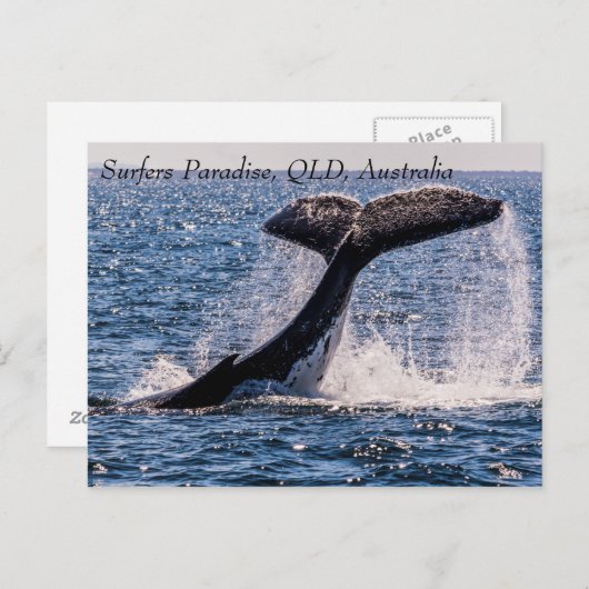 ザトウクジラのサーファーズパラダイスパシフィック海 ポストカード (正面/裏面)