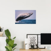 ザトウクジラのジャンプ ポスター (ホームオフィス)