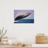 ザトウクジラのジャンプ ポスター (キッチン)