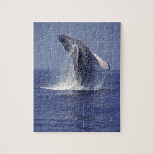 ザトウクジラのジャンプ (Megaptera ジグソーパズル (縦)