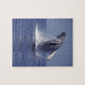 ザトウクジラのブリーチング(メガテラ) ジグソーパズル (横)