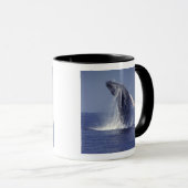 ザトウクジラのブリーチング(メガテラ) マグカップ (正面右)