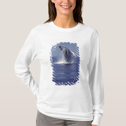 ザトウクジラのブレーチング(Megaptera Tシャツ (正面)