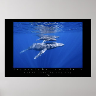 ザトウクジラのポスター ポスター