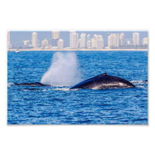 ザトウクジラの写真のプリント フォトプリント