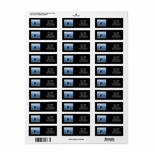 ザトウクジラの密猟 ラベル (フルシート)