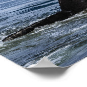 ザトウクジラの尾を閉じる – 野生動物の写真 ポスター (角)