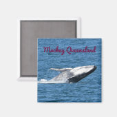 ザトウクジラの尾マッカイクイーンズランドオーストラリア マグネット (正面/裏面)