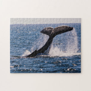 ザトウクジラの尾肝蛭のジグソーパズル ジグソーパズル