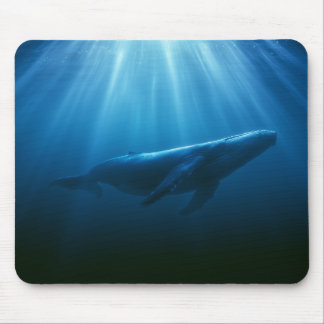 ザトウクジラの水中 マウスパッド