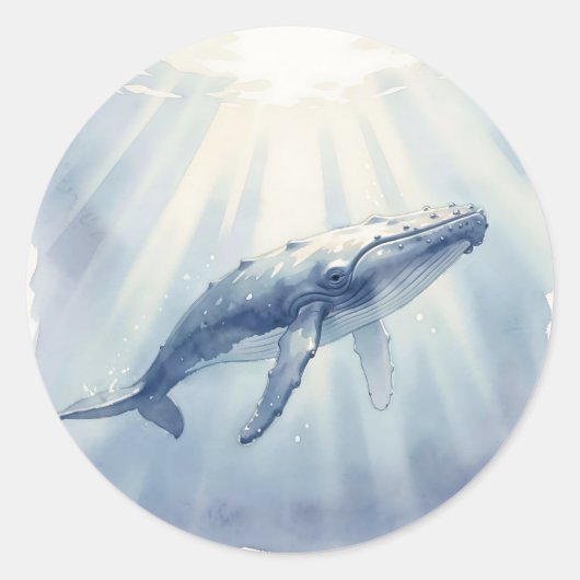 ザトウクジラの水彩画 オーシャン ラウンドシール (正面)