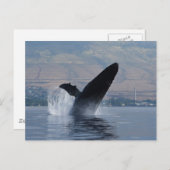 ザトウクジラの浸食 ポストカード (正面/裏面)