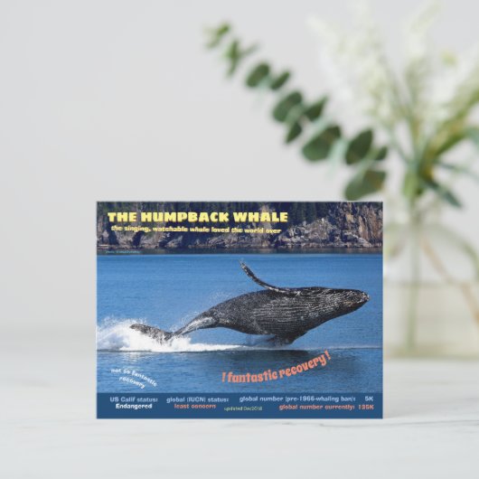 ザトウクジラの絶滅危惧種はがき シーズンポストカード (スタンド正面)