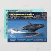 ザトウクジラの絶滅危惧種はがき シーズンポストカード (正面/裏面)