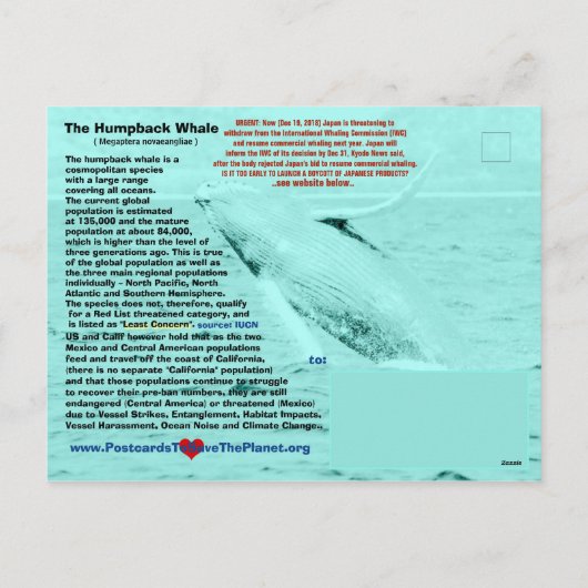 ザトウクジラの絶滅危惧種はがき シーズンポストカード (裏面)