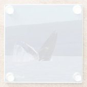 ザトウクジラの頭の長いガラスのコースター ガラスコースター (裏面)