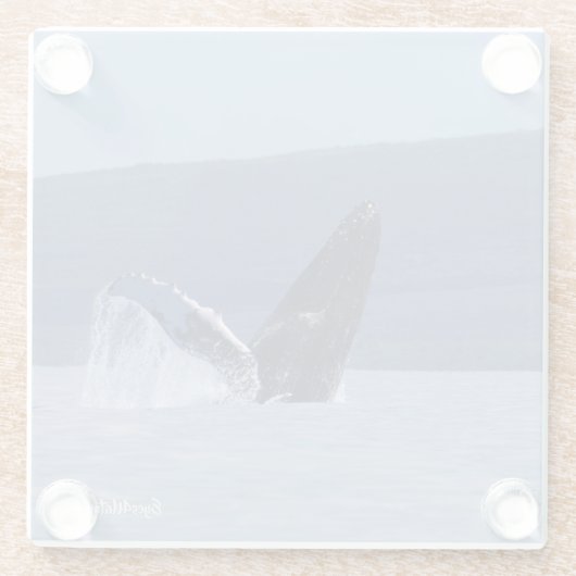 ザトウクジラの頭の長いガラスのコースター ガラスコースター (裏面)