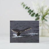 ザトウクジラの鳴き声（テールフルケ）/ギラギラ ポストカード (スタンド正面)