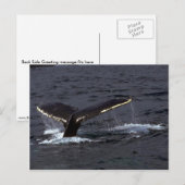 ザトウクジラの鳴き声（テールフルケ）/ギラギラ ポストカード (正面/裏面)