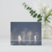 ザトウクジラのMegapteraのnovaeangliae) ポストカード (スタンド正面)