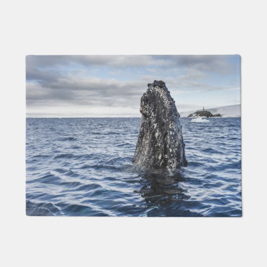ザトウクジラのSpyhops |の希望湾、南極大陸 ドアマット (正面)