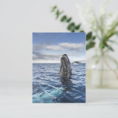 ザトウクジラのSpyhops |の希望湾、南極大陸 ポストカード (スタンド正面)