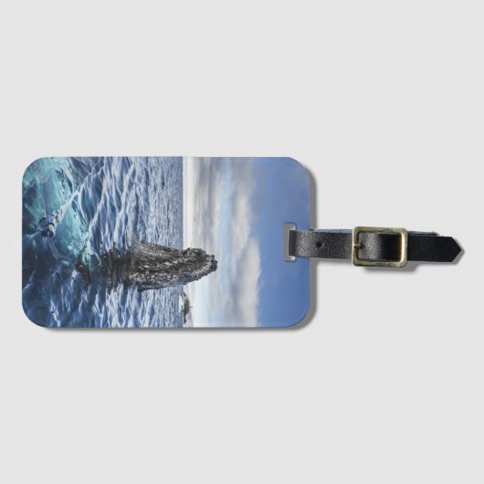 ザトウクジラのSpyhops |の希望湾、南極大陸 ラゲッジタグ (正面横)