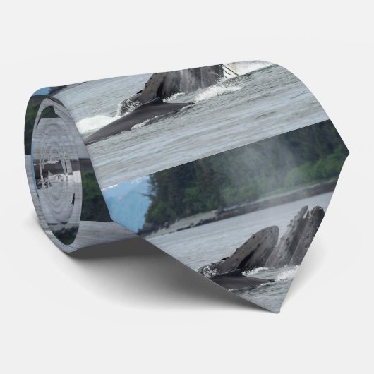 ザトウクジラを食べ物を与えること ネクタイ (ロール)