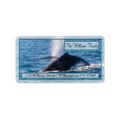 ザトウクジラ住所 シール (正面)