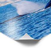 ザトウクジラ写真プリント フォトプリント            (角)