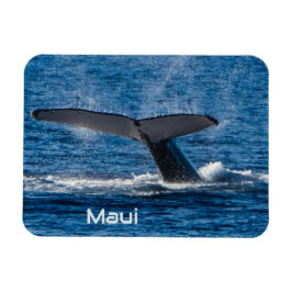 ザトウクジラ尾の可撓性磁石 マグネット