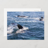 ザトウクジラ尾はがき ポストカード (正面/裏面)