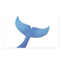 ザトウクジラ尾V2