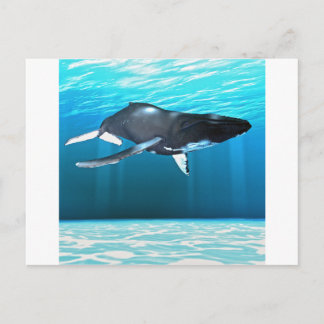 ザトウクジラ泳ぎ ポストカード