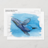 ザトウクジラ海洋動物スケッチイラストレーション ポストカード (正面/裏面)