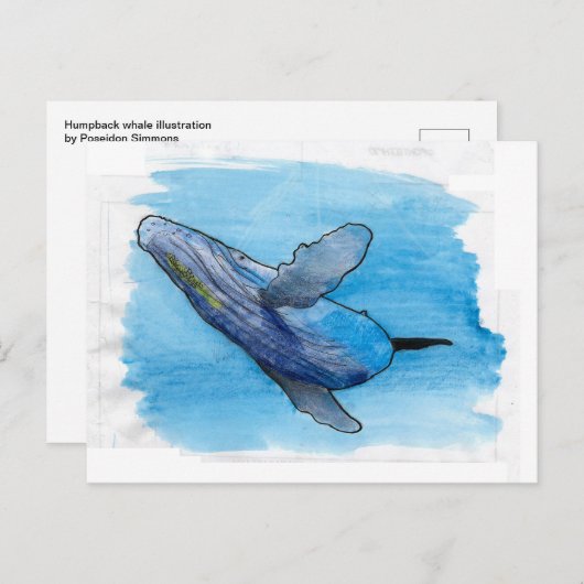 ザトウクジラ海洋動物スケッチイラストレーション ポストカード (正面/裏面)