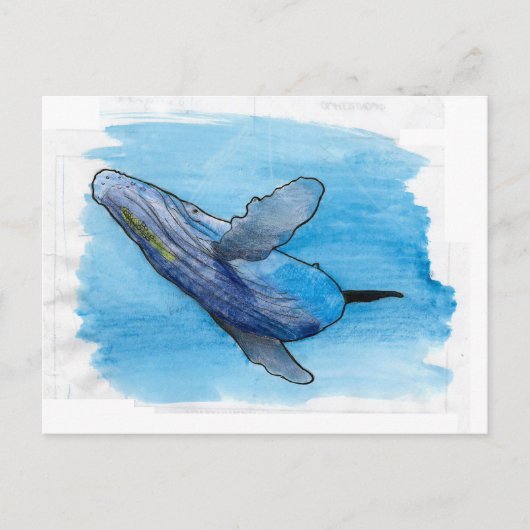 ザトウクジラ海洋動物スケッチイラストレーション ポストカード (正面)