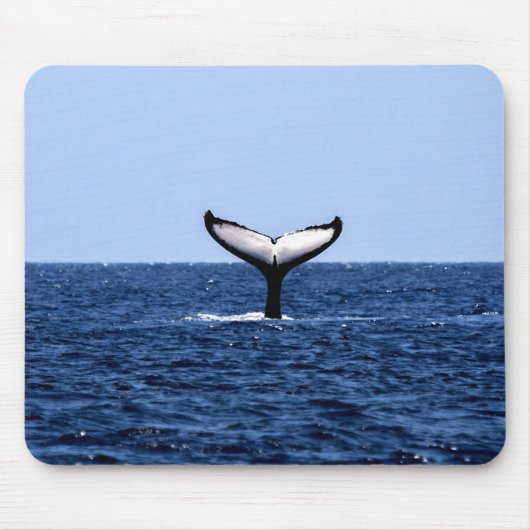 ザトウクジラ海 マウスパッド (正面)